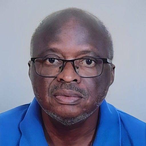 Eng. Luís Olundo Mendes